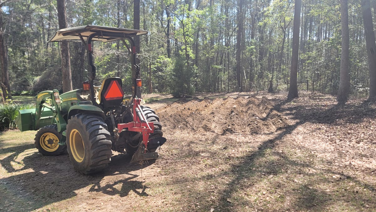 My First Garden Update